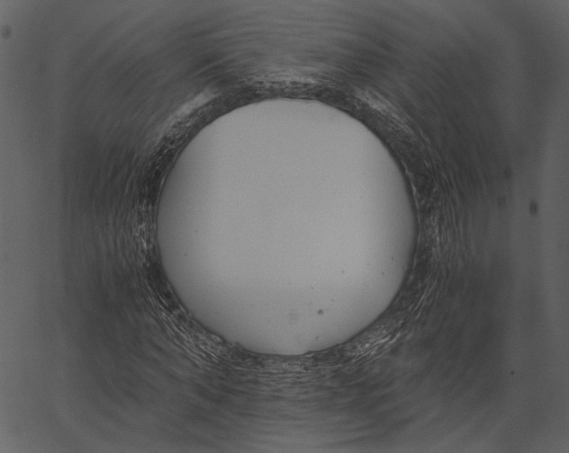X0000062600870200601110940