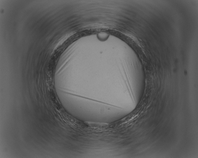 X0000062600871200601110940