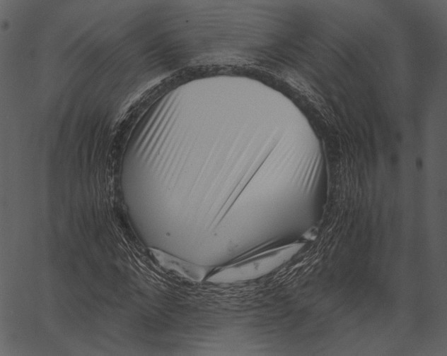 X0000062600872200601110940
