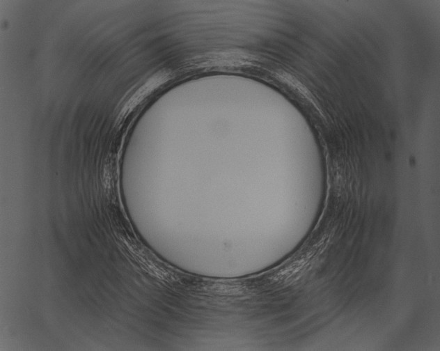 X0000062600874200601110940