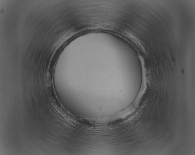 X0000062600876200601110940