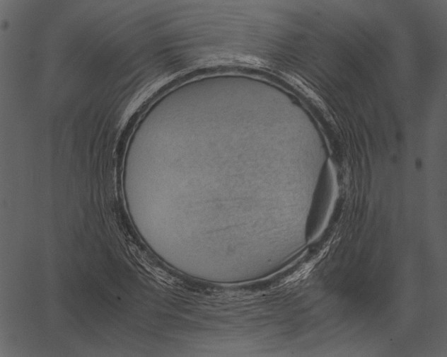 X0000062600877200601110940