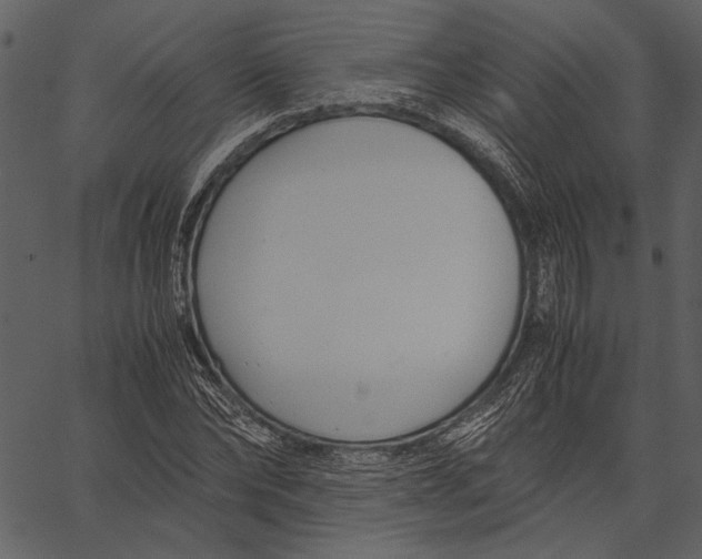 X0000062600878200601110940