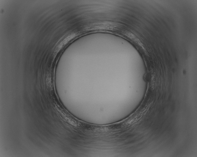 X0000062600882200601110940