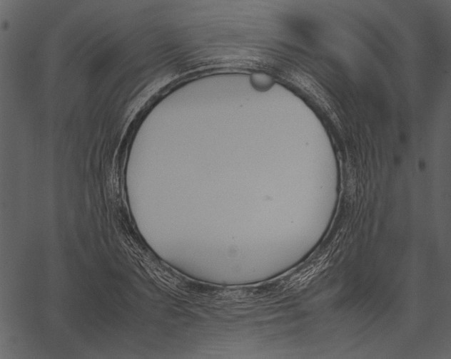 X0000062600883200601110940