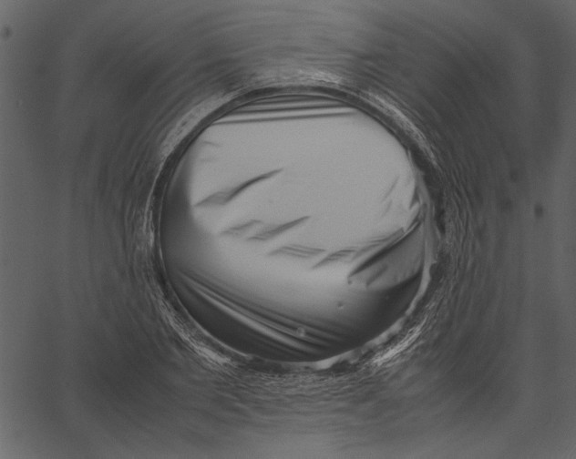 X0000062600885200601110940