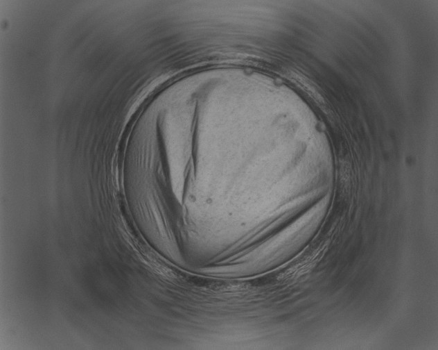 X0000062600891200601110939