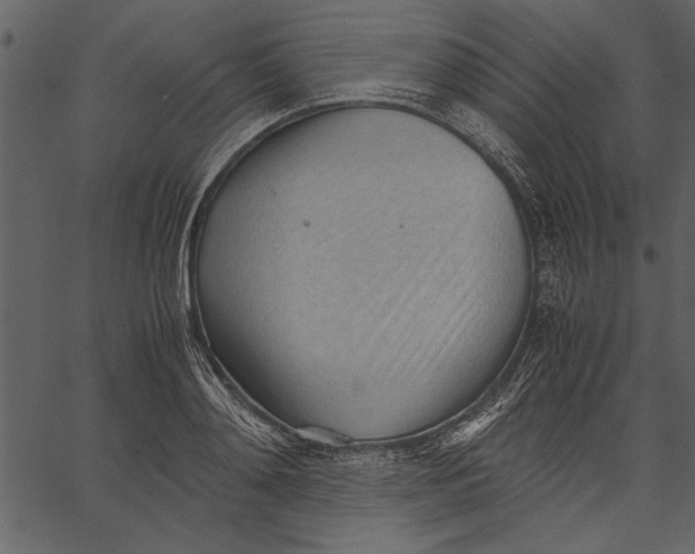 X0000062600892200601110939