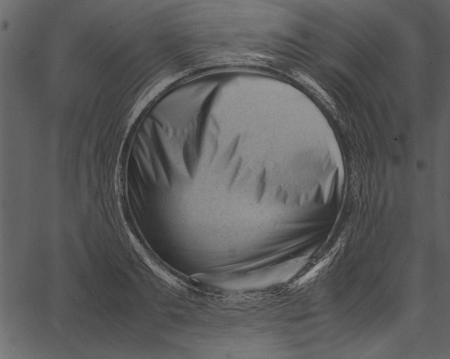 X0000062600893200601110939