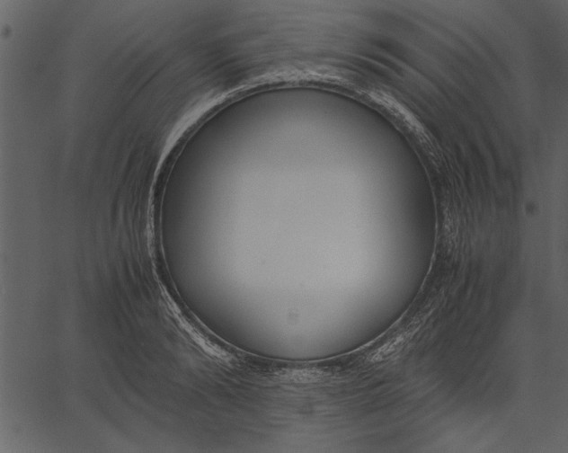 X0000062600894200601110939