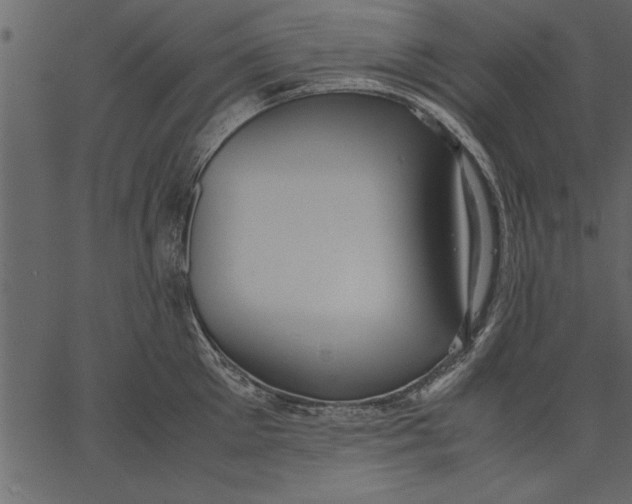 X0000062600905200601110939