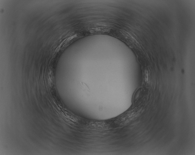 X0000062600915200601110938