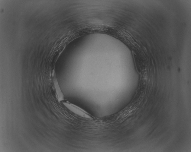 X0000062600916200601110938