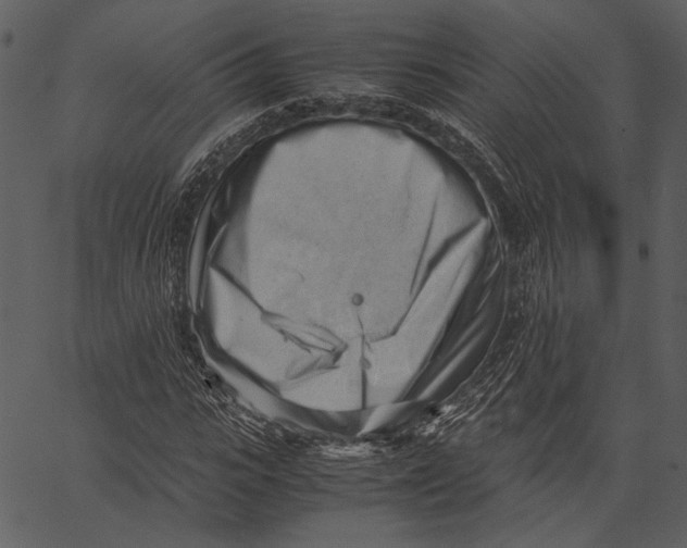X0000062600919200601110938