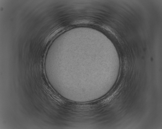 X0000062600921200601110938