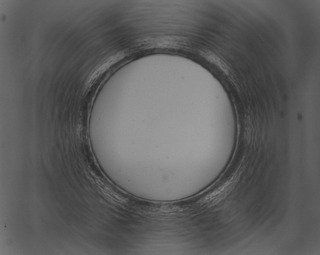 X0000062600922200601110938