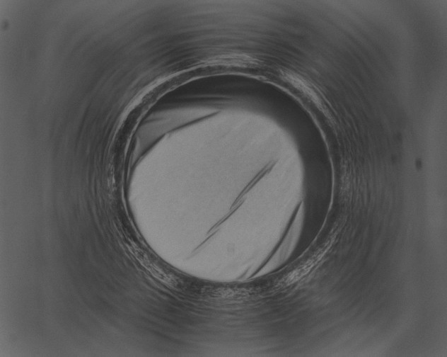 X0000062600923200601110938