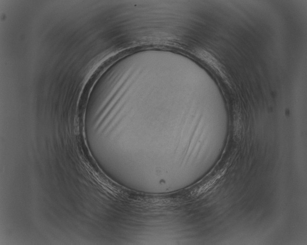 X0000062600924200601110938