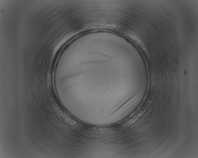 X0000062600928200601110939