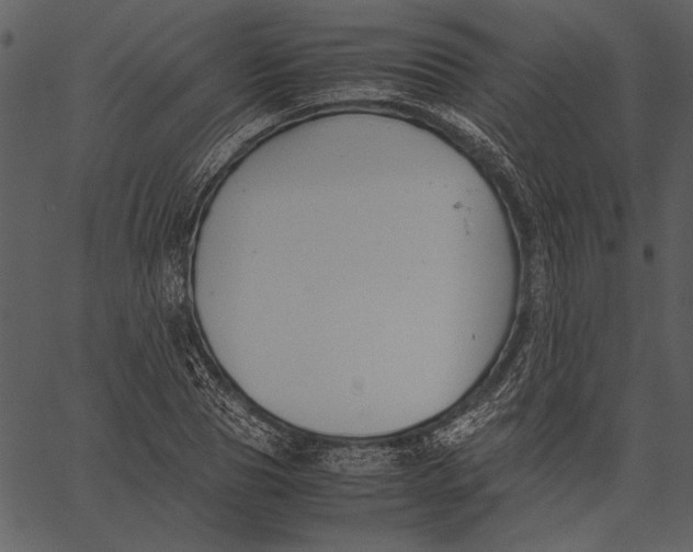 X0000062600929200601110939