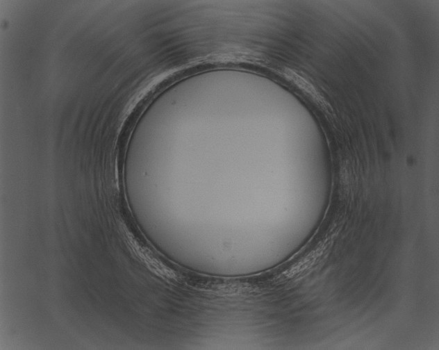 X0000062600934200601110939