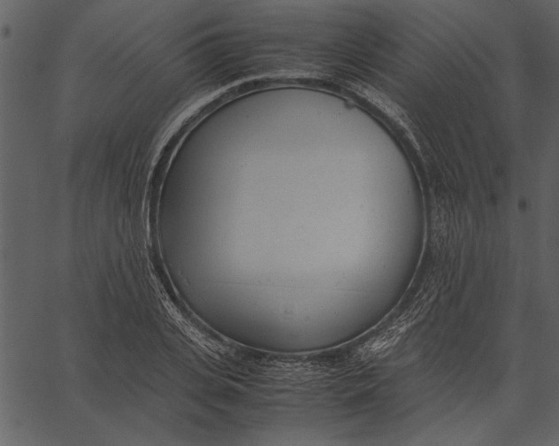 X0000062600935200601110939