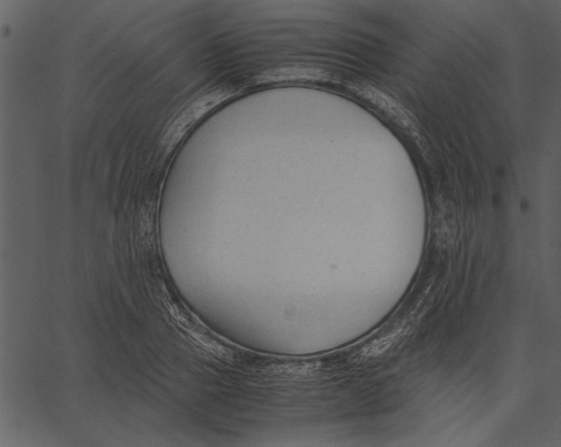 X0000062600937200601110939