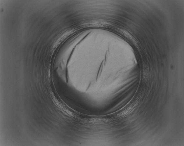 X0000062600938200601110939