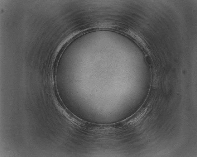 X0000062600939200601110939