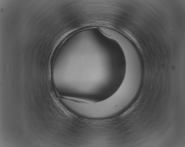 X0000062600940200601110939