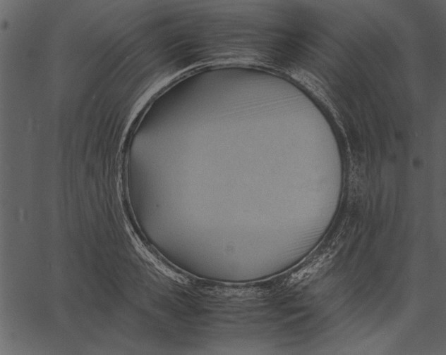 X0000062600941200601110939