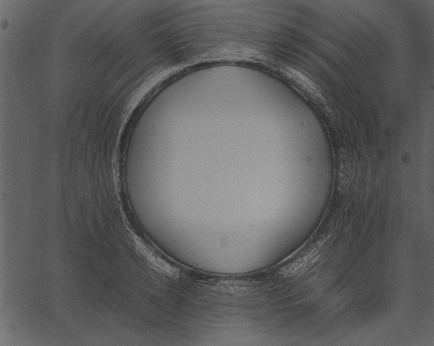 X0000062600942200601110939