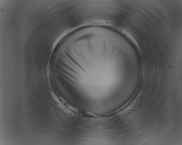 X0000062600944200601110939