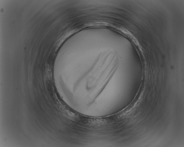 X0000062600945200601110939