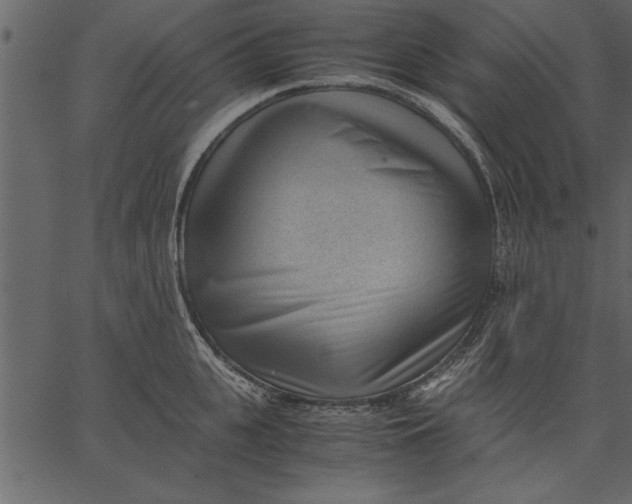 X0000062600951200601110939