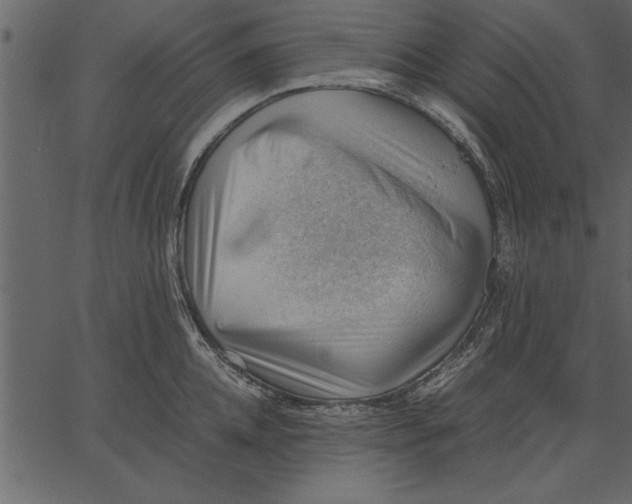 X0000062600952200601110939