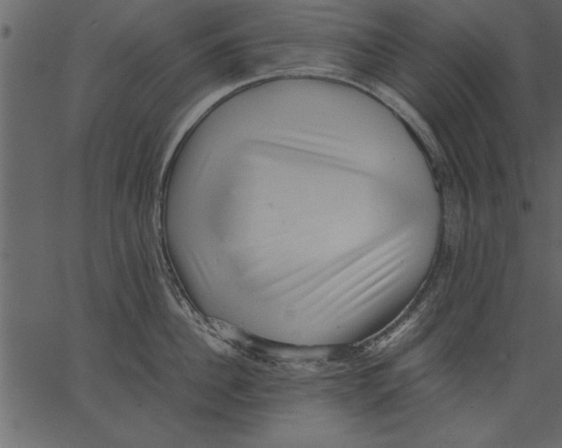 X0000062600956200601110939