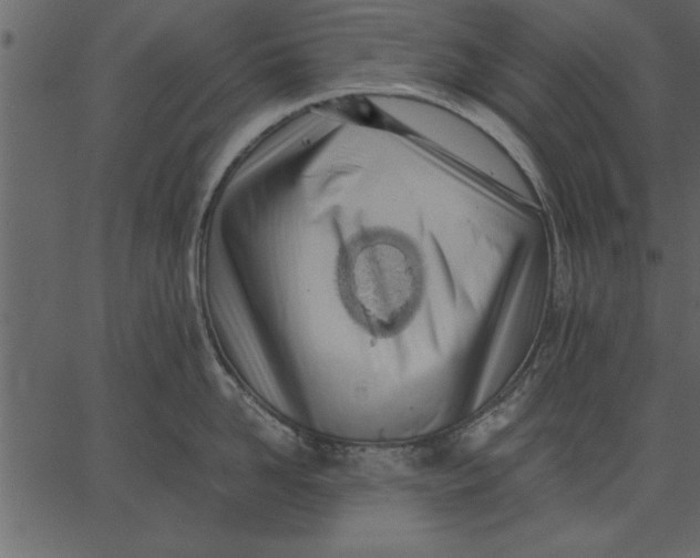 X0000062600958200601110939