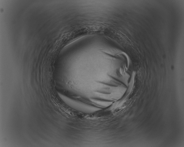 X0000062600961200601110938