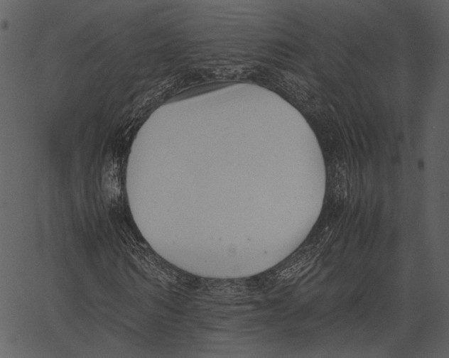 X0000062600962200601110938