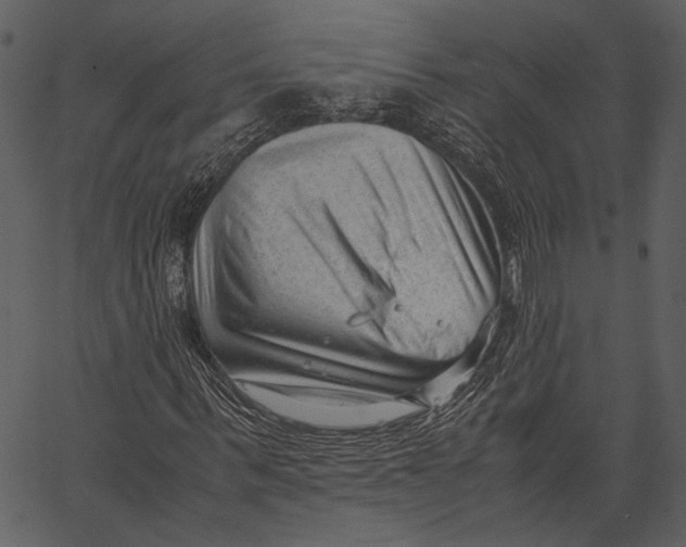 X0000062600963200601110938