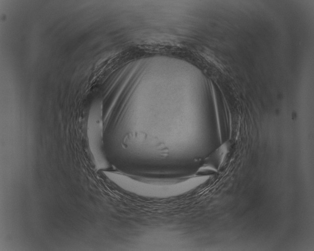 X0000062600965200601110938