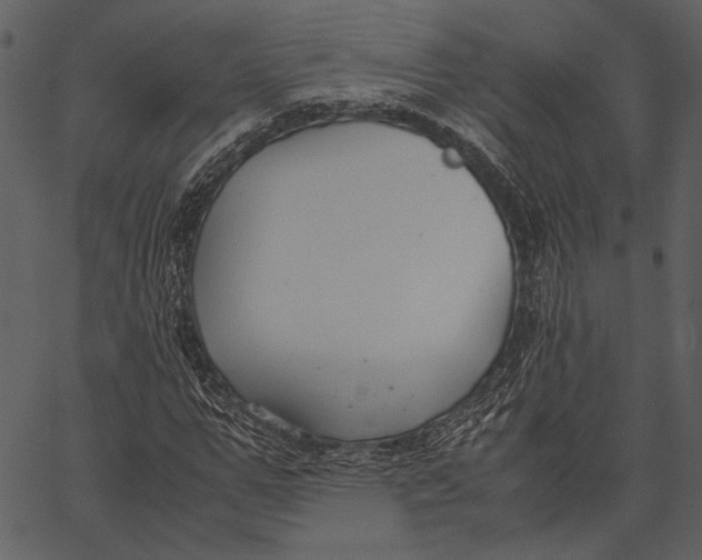 X0000062600967200601110938