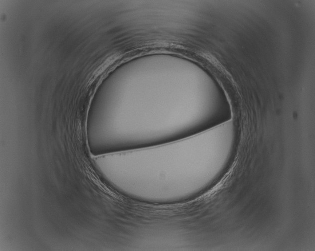 X0000062600969200601110938