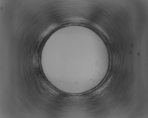 X0000062600970200601110938