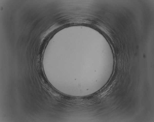 X0000062600971200601110938