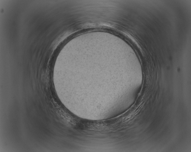 X0000062600975200601110938