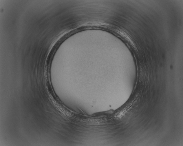 X0000062600976200601110938