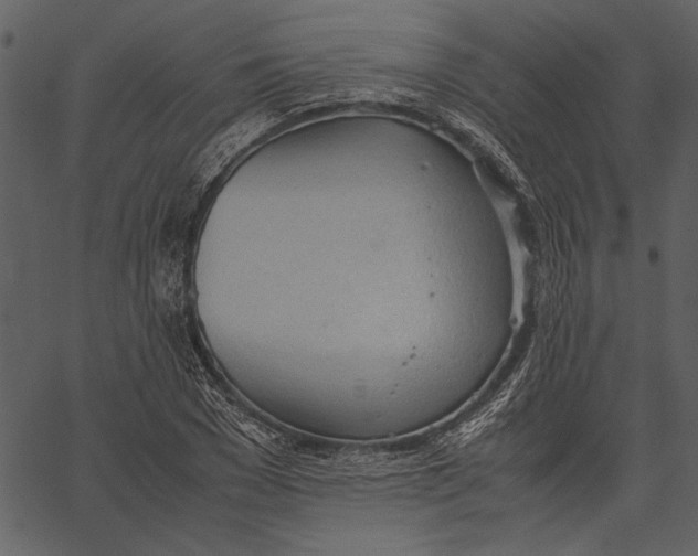 X0000062600977200601110938