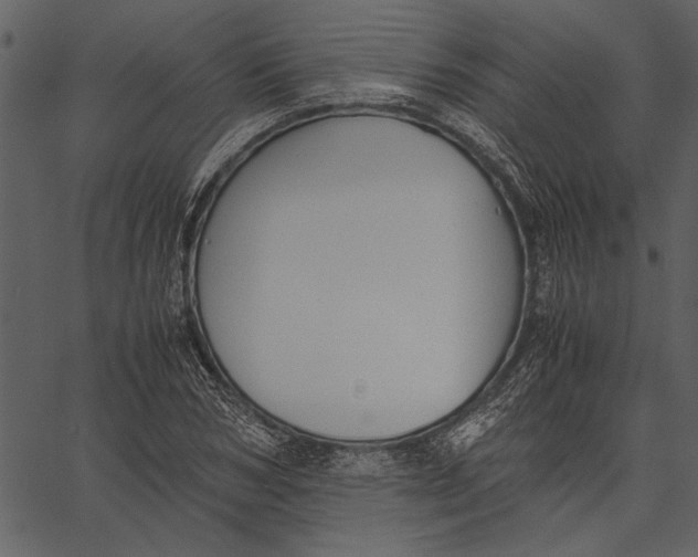 X0000062600978200601110938